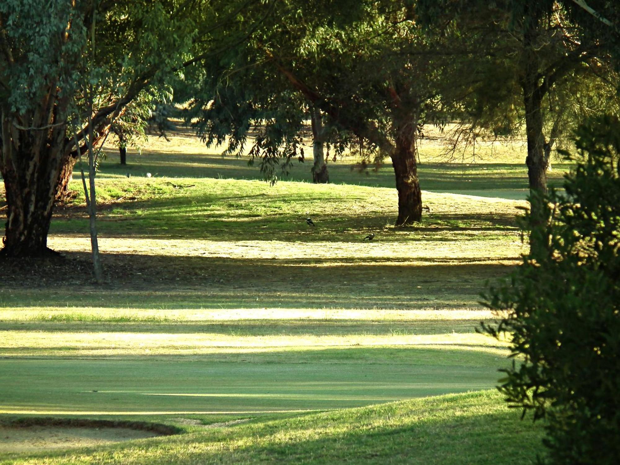 Cobram Barooga Golf Resort חדר תמונה